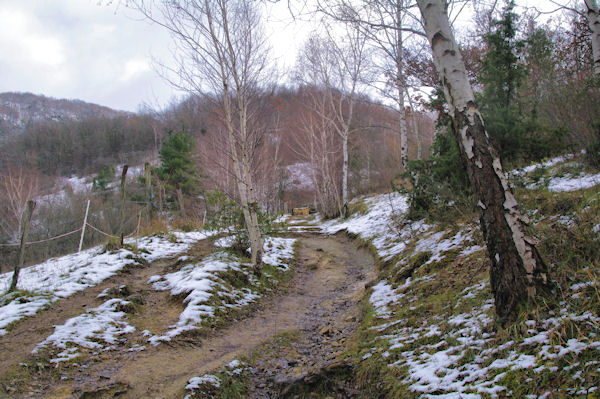 Le sentier Cathare vers La Coume