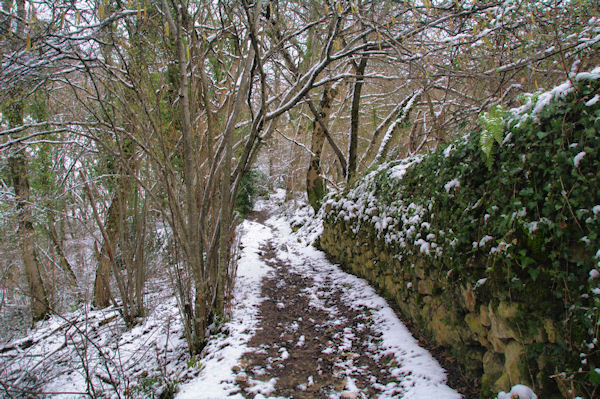 Le sentier Cathare vers Jean Germa