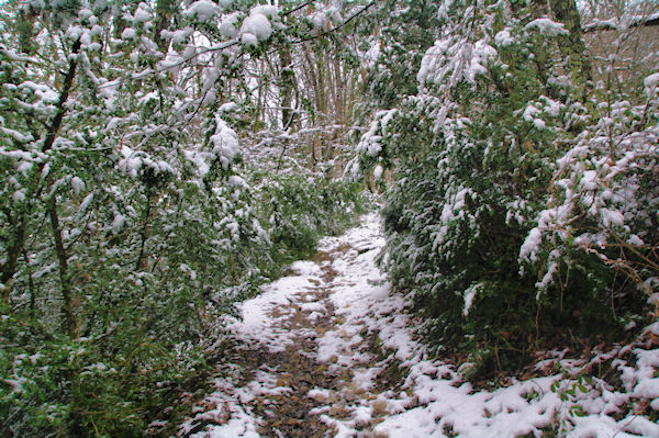 Le sentier Cathare vers Jean Germa