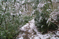 Le sentier Cathare vers Jean Germa