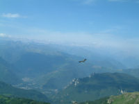 Un vautour volant vers la valle de l'Arige