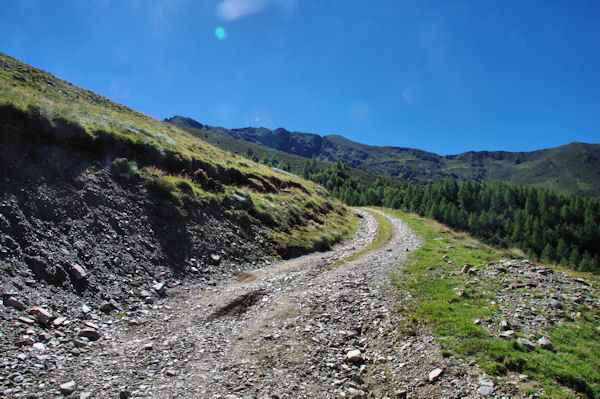 Le chemin au milieu des pistes de ski de la station de Goulier - Endron