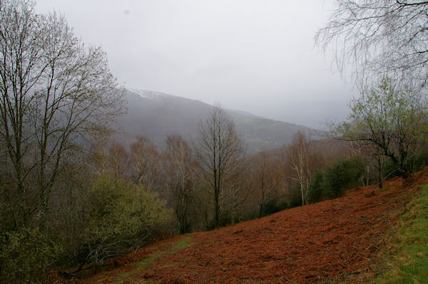 Au fond, Sahuc dans les brumes