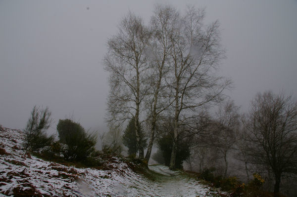 En descendant vers le Col de Blazy