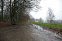 Le chemin remontant Les Gours depuis le Col des Marrous