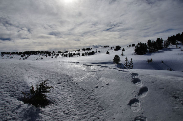 Le Plateau de Beille