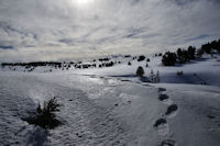 Le Plateau de Beille