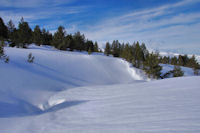 En haut du vallon de Serre Haute de Trs Bnous