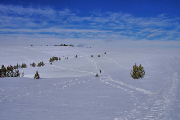 Le Plateau de Beille