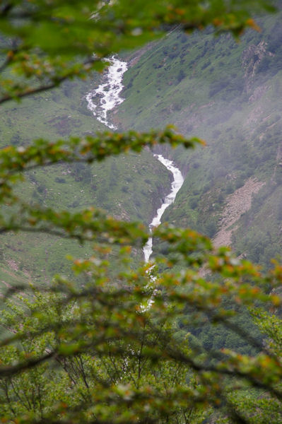 Le ruisseau de l_Artigue dvalant les pentes de Labelanouses