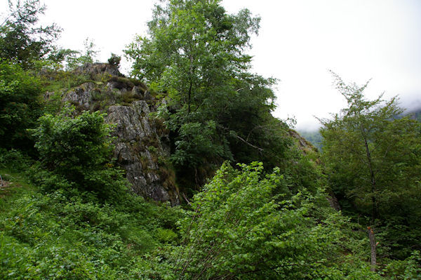 Un petit escarpement rocheux dans le Bois de Fontanal