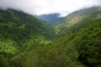 La vallee du ruisseau de l'Artigue depuis le Bois de Fontanal