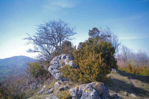 Sur la crte menant au Pech