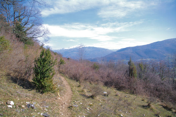 Le sentier au dessus du Bosc