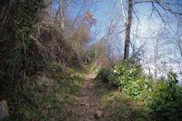 Le chemin montant  la Croix de St Sauveur