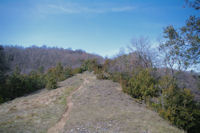 Le sentier montant  St Sauveur