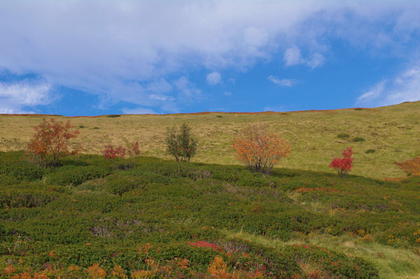 Paysage d_automne sous le Picou de Moungou