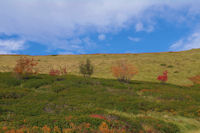 Paysage d_automne sous le Picou de Moungou