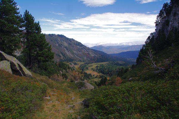 Le vallon du ruisseau de l_Estagnet