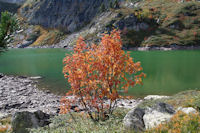 L'Etang Bleu