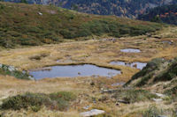 Laquets en remontant au Col de la Coumeille de l'Ours