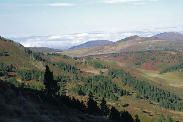 Le Pla de Moungou, au fond, le Picaucel au dessus du Col de Pailhres