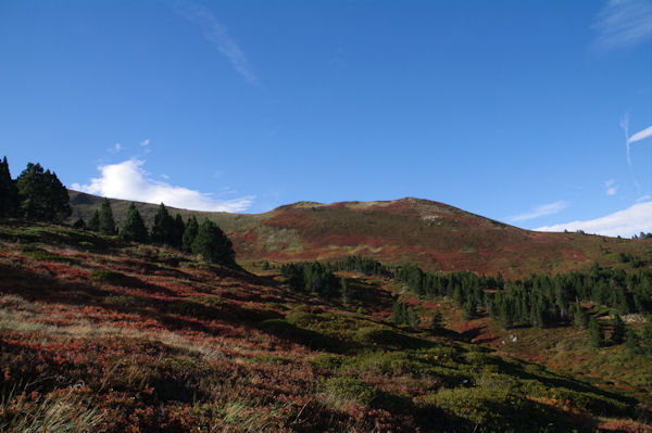 La Crte de Moungou