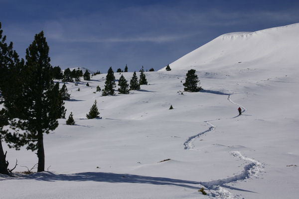 En direction des crtes de Moungou