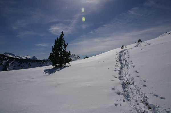 Avant d'arriver sur les crtes de Moungou