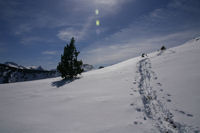 Avant d'arriver sur les crtes de Moungou