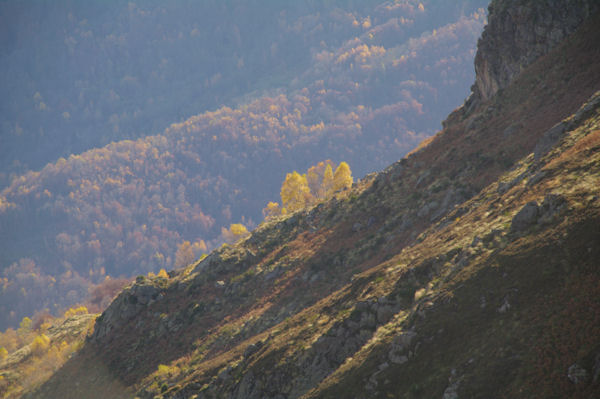 Couleurs automnales sous le Roc de la Garre