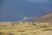 Le Col de Port