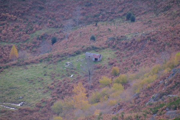 La Cabane pastorale de la Labre
