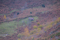 La Cabane pastorale de la Labre