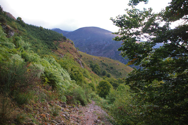 Au dbut du sentier sur la D18