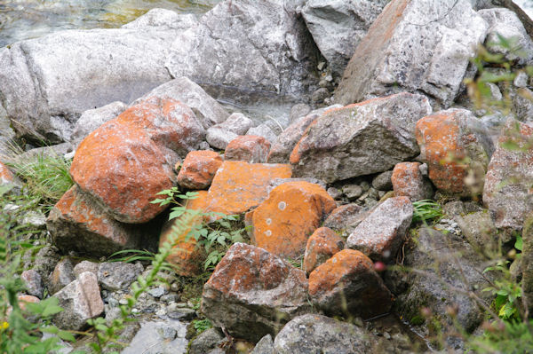 Le rochers rouges du Ribrot