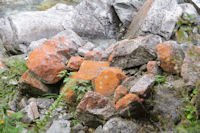 Le rochers rouges du Ribrot