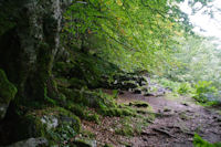 Les ruines d_un abri rive gauche du Ribrot