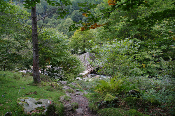 La passerelle sur le Ribrot permettant de passer rive droite