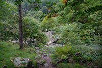 La passerelle sur le Riberot permettant de passer rive droite