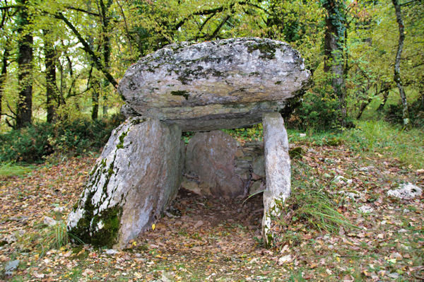 Un dolmen vers Bramaloup