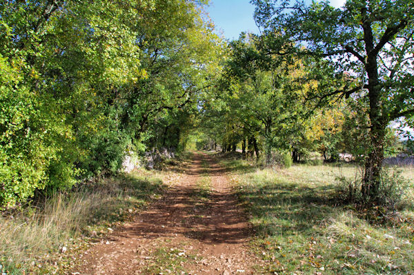 Le chemin vers Pech Redon