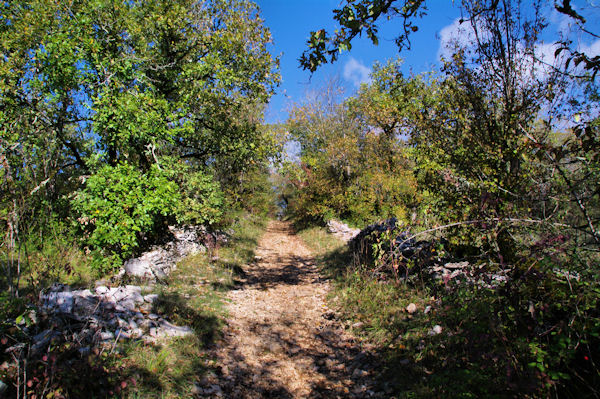 Le chemin du Bois de Margues