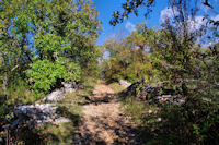 Le chemin du Bois de Margues