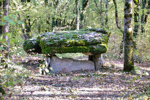 Le dolmen du Bois de Margues