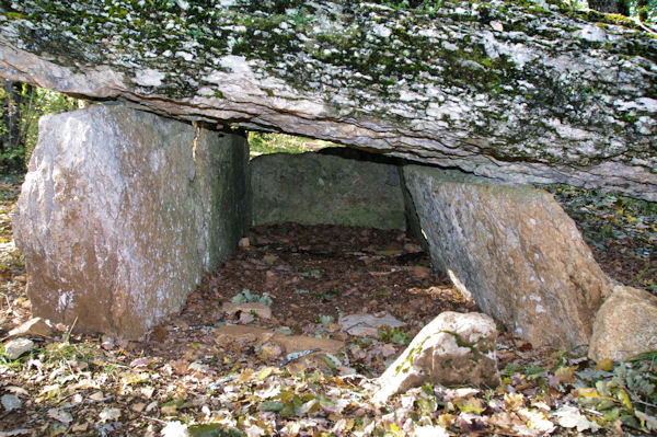 Le dolmen du Bois de Margues