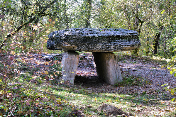 Le dolmen du Bois de Galtier