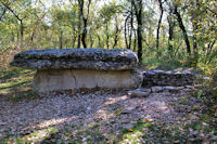 Le dolmen du Bois de Galtier