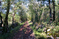 Le chemin du Bois de Margues