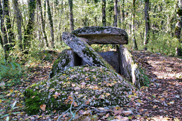 Le dolmen du Bois de Devs des Gleyettes
